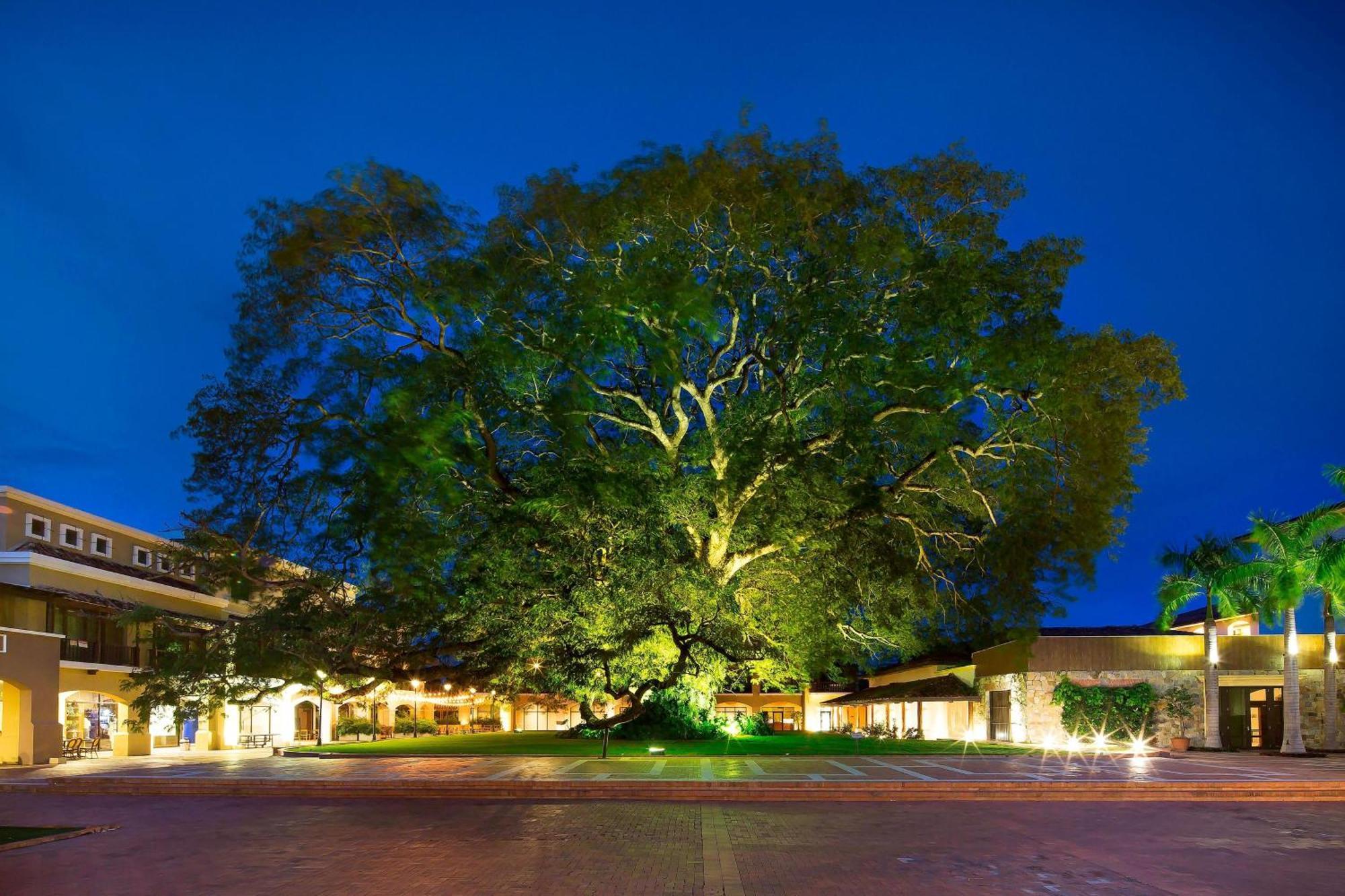 ריו האטו The Buenaventura Golf & Beach Resort, Autograph Collection מראה חיצוני תמונה